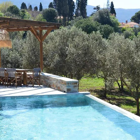 The House Of Gaga Villa