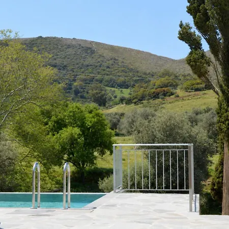 The House Of Gaga Stíra