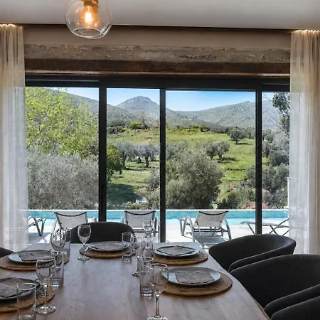 The House Of Gaga *